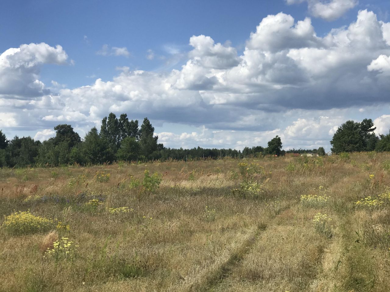 Działka budowlana Górzno, ul. Akacjowa