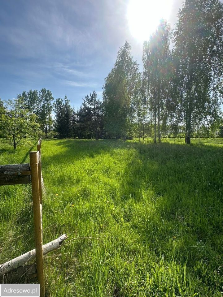 Działka rolna Dubiny. Zdjęcie 4