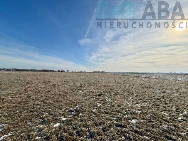 Działka budowlana Słodków. Zdjęcie 6