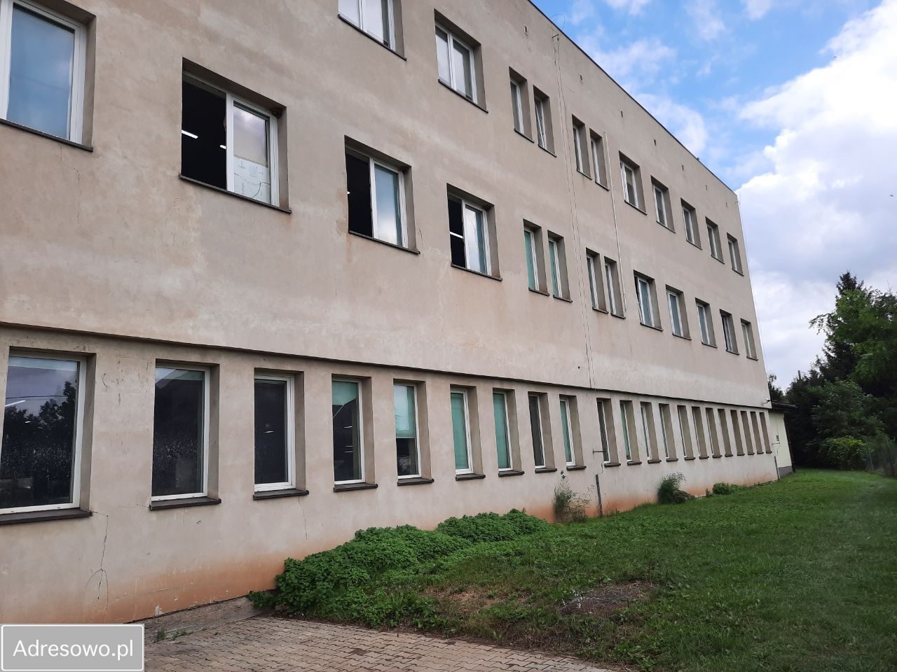 Hala/magazyn Świebodzice, ul. Ciernie. Zdjęcie 6