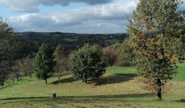 dom wolnostojący Handzlówka