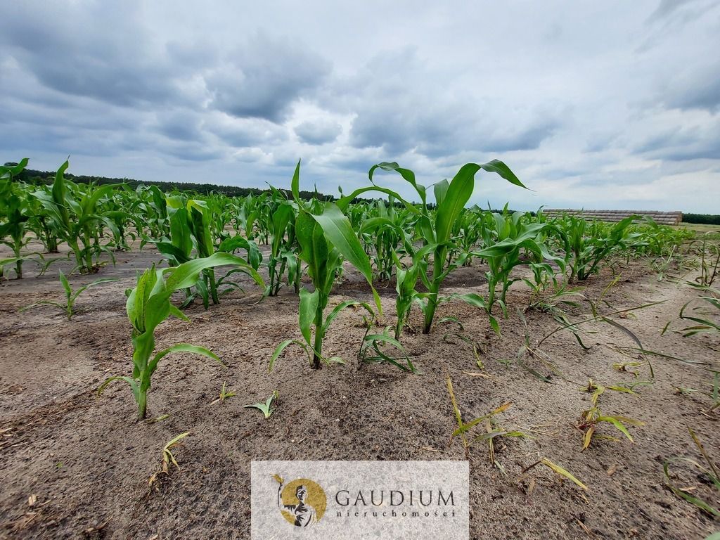 Działka Karszyn. Zdjęcie 22