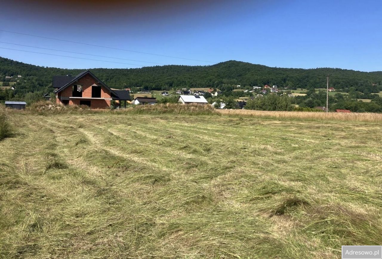 Działka budowlana Zasań. Zdjęcie 2