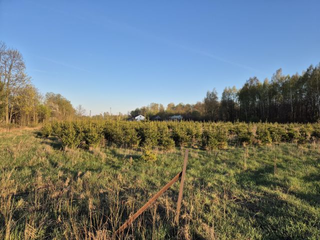 Działka rolno-budowlana Brzostówiec Cegielnia. Zdjęcie 6