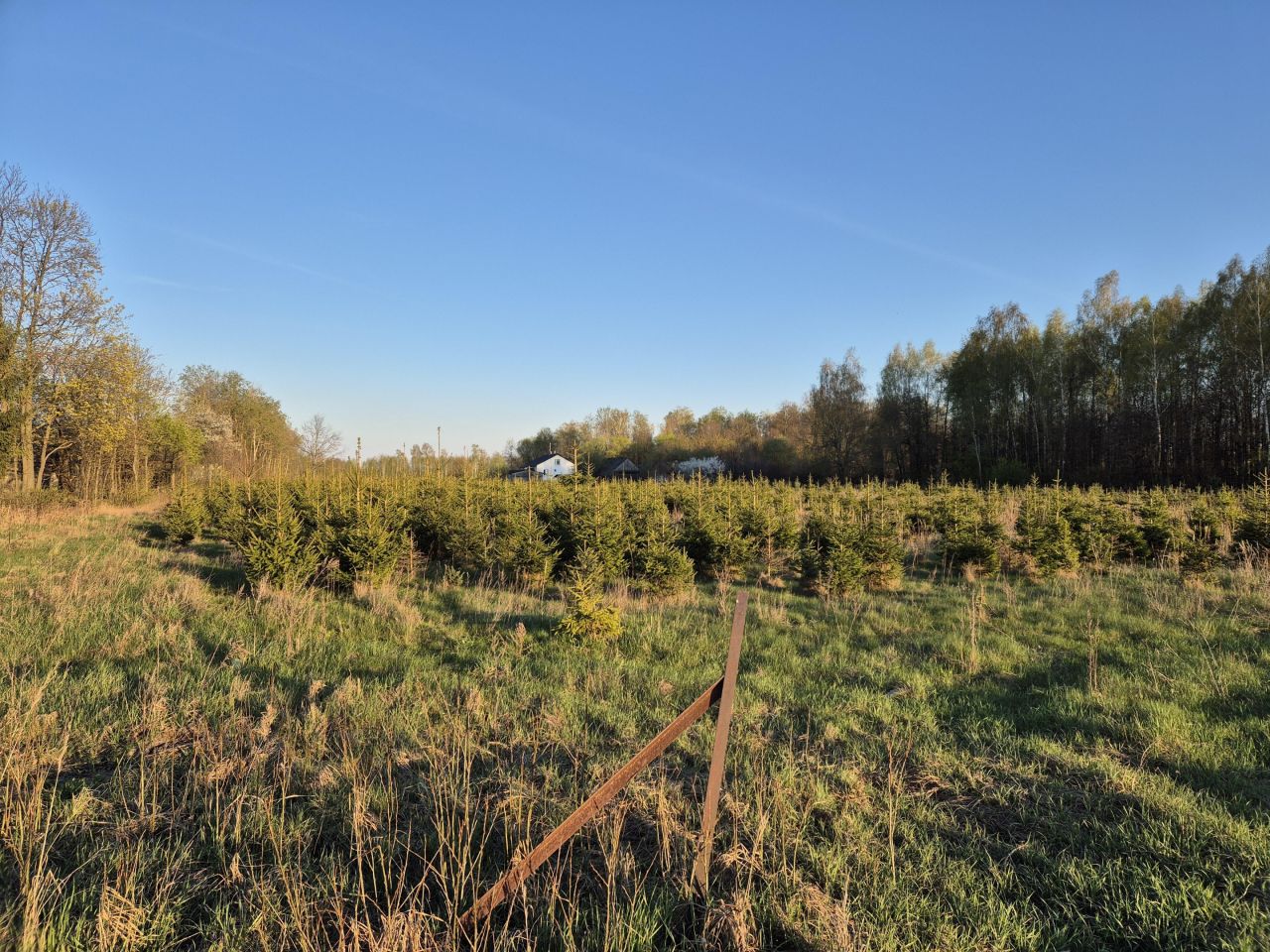 Działka rolno-budowlana Brzostówiec Cegielnia. Zdjęcie 6