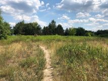 Działka inwestycyjna Nieporęt, ul. Stokrotki. Zdjęcie 4