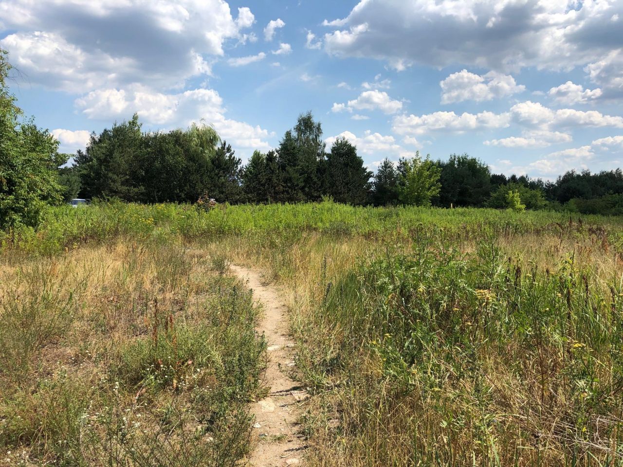 Działka inwestycyjna Nieporęt, ul. Stokrotki. Zdjęcie 6