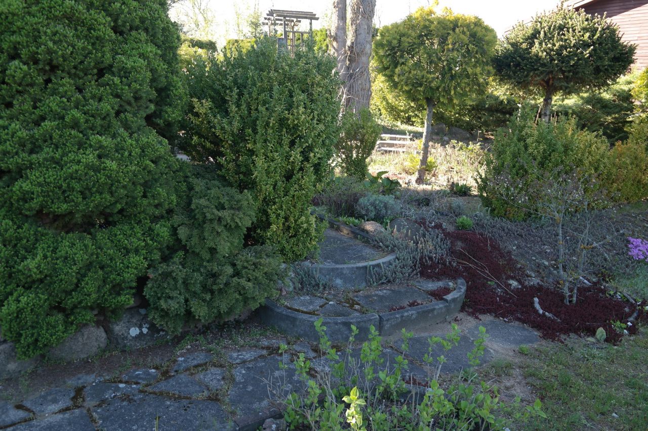 Działka rod Niewodnica Kościelna, ul. Działkowców. Zdjęcie 21