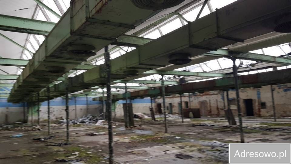 Hala/magazyn Lubniewice Świerczów, os. Świerczów. Zdjęcie 2