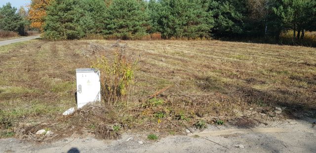 Działka budowlana Łoś. Zdjęcie 1