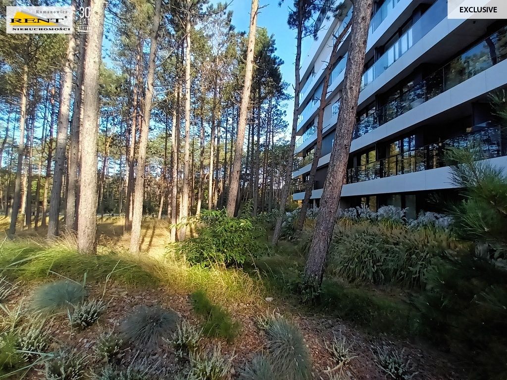 Mieszkanie 2-pokojowe Rogowo. Zdjęcie 20