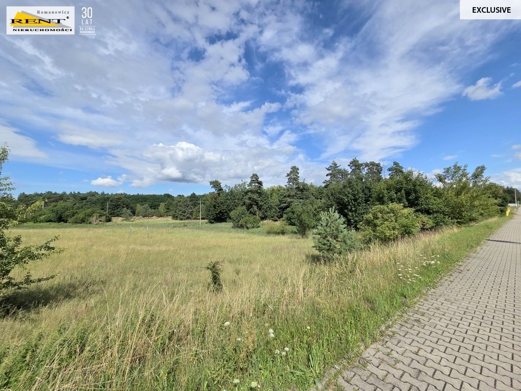 Działka inwestycyjna Bezrzecze. Zdjęcie 4