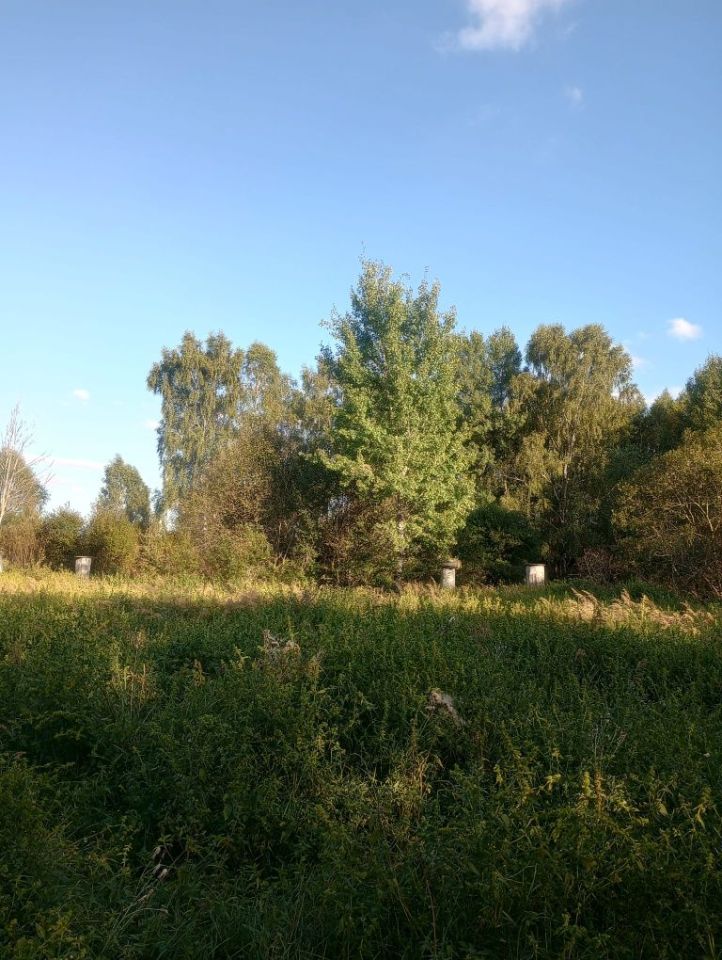 Działka rolna Spore. Zdjęcie 3