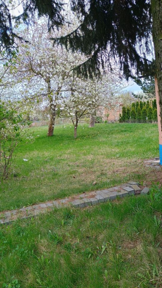 Działka rod Inowrocław, szosa Bydgoska. Zdjęcie 2