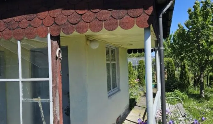 Działka rod Rumia, ul. Kosynierów