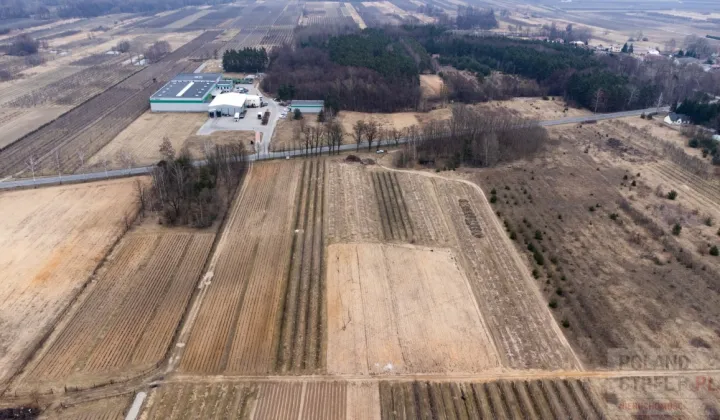 Działka rolno-budowlana Warka Ostrówek
