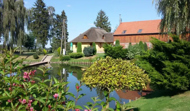 dom wolnostojący, 5 pokoi Kolonia Maszewo