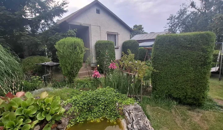 Działka rod Częstochowa Błeszno