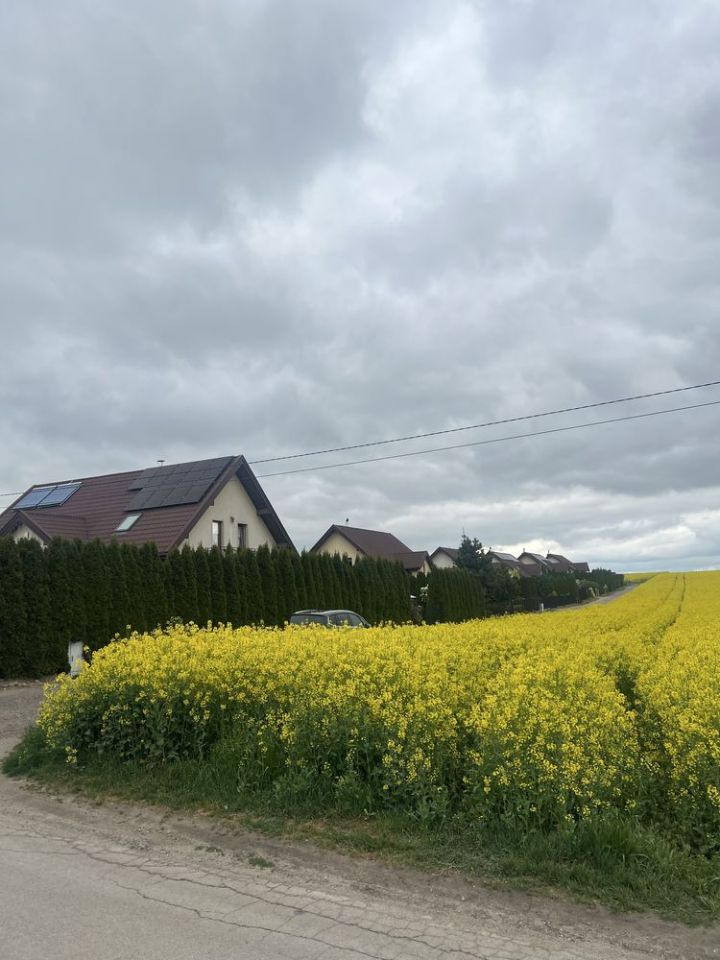 Działka budowlana Tomaszówka. Zdjęcie 3