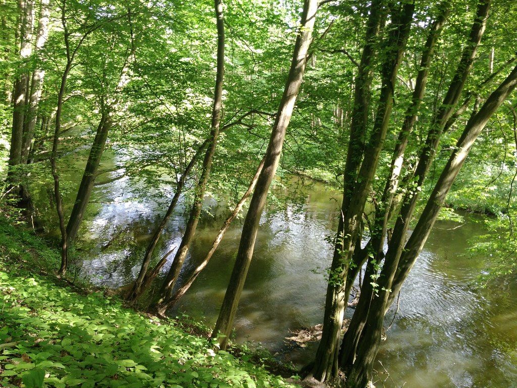 Działka budowlana Barnimie. Zdjęcie 5