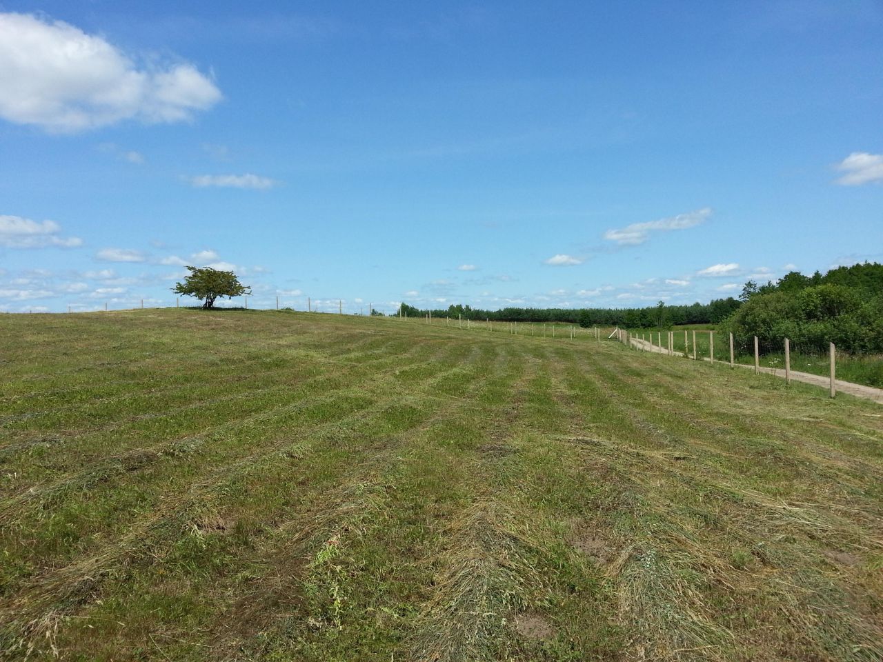 Działka rolna Prawdowo. Zdjęcie 3