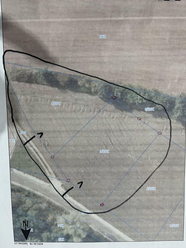 Działka budowlana Brzyskorzystew. Zdjęcie 4