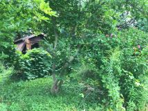 Działka rod Lublin Węglin. Zdjęcie 3