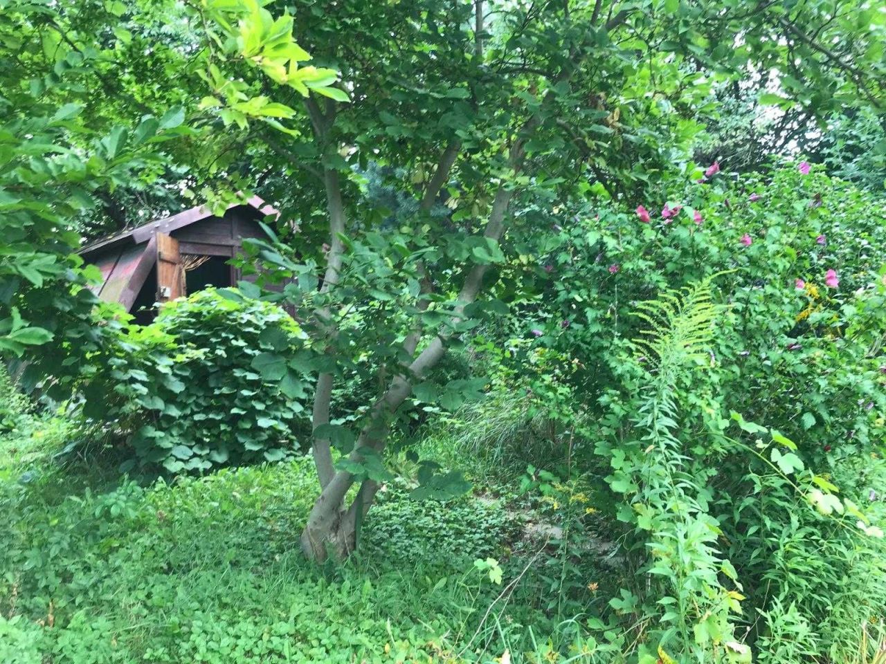 Działka rod Lublin Węglin. Zdjęcie 4