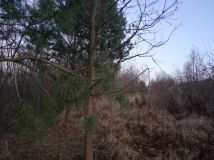 Działka inna Lutcza. Zdjęcie 2