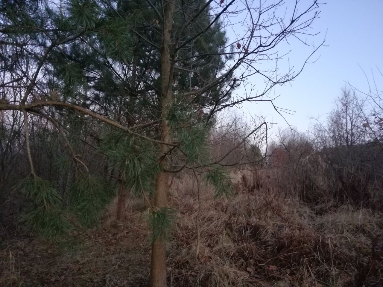 Działka inna Lutcza. Zdjęcie 3