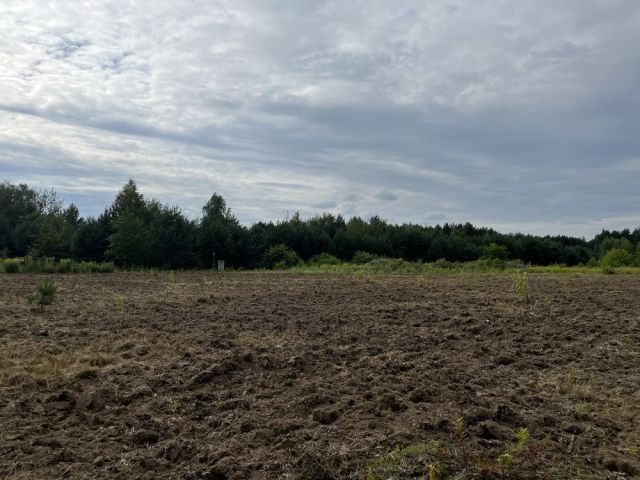 Działka budowlana Rosanów. Zdjęcie 1