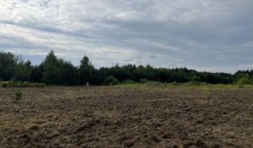 Działka budowlana Rosanów