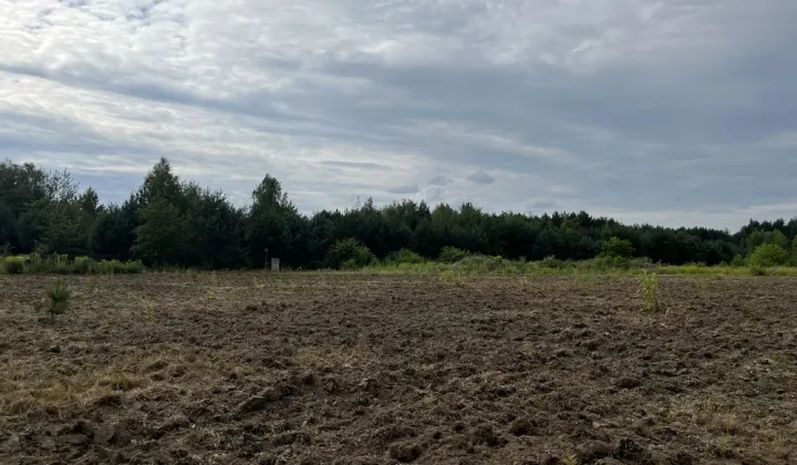 Działka budowlana Rosanów