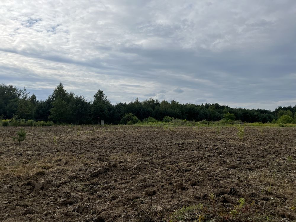 Działka budowlana Rosanów