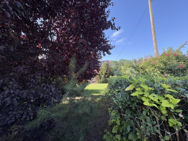 dom wolnostojący, 5 pokoi Góra Świętej Małgorzaty. Zdjęcie 4