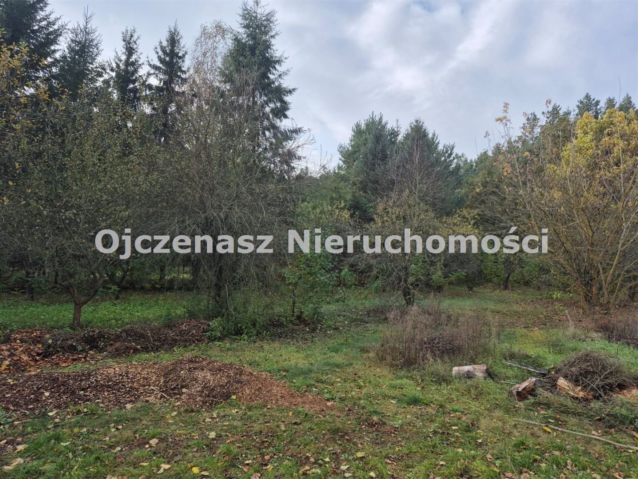 dom wolnostojący, 5 pokoi Kruszyn. Zdjęcie 38