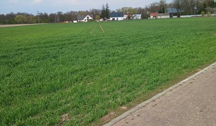 Działka budowlana Strzegowo