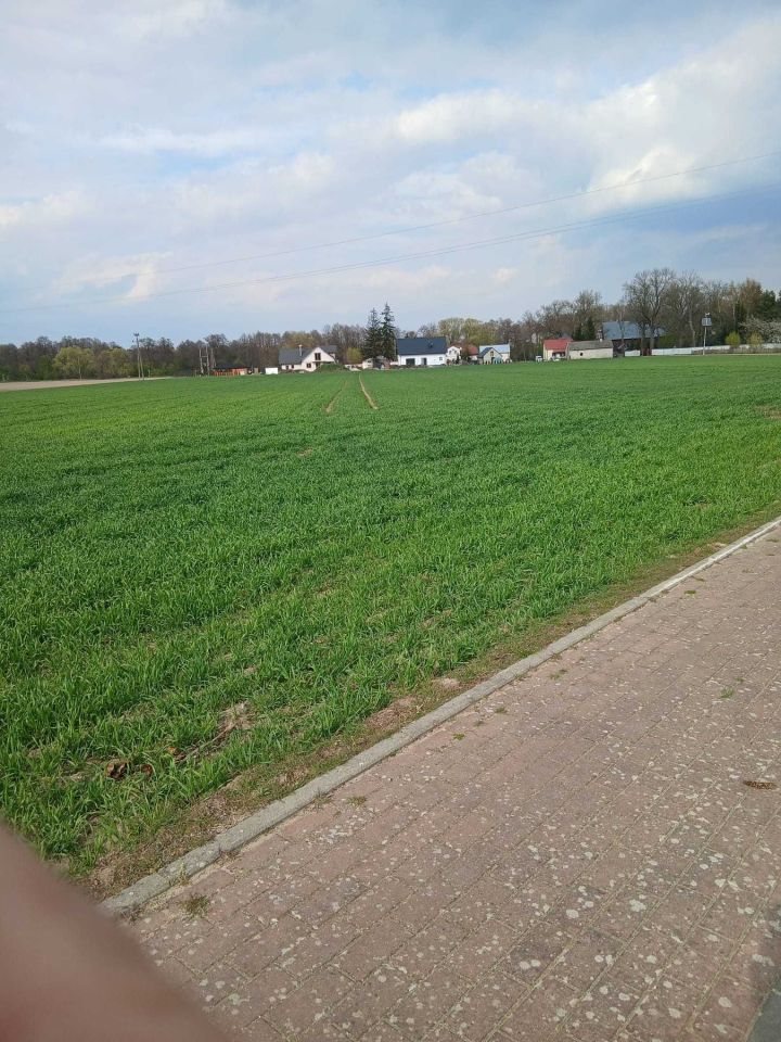 Działka budowlana Strzegowo. Zdjęcie 1