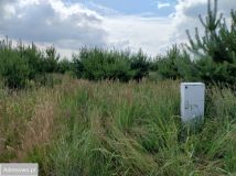 Działka inna Radzewo, ul. Wolińska. Zdjęcie 2