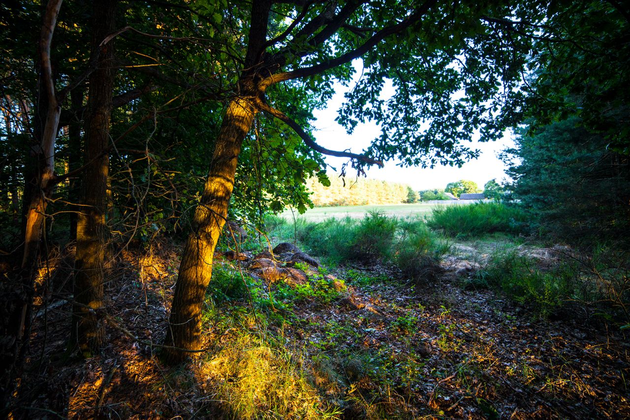 Działka budowlana Celiny. Zdjęcie 21