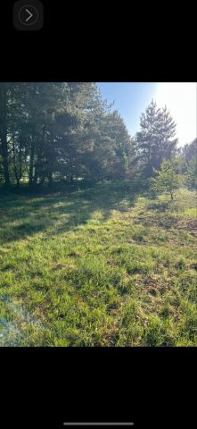 Działka budowlana Niezgoda. Zdjęcie 1