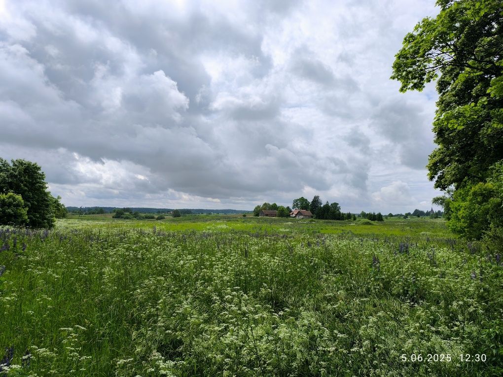 Działka rolna Frączki. Zdjęcie 7