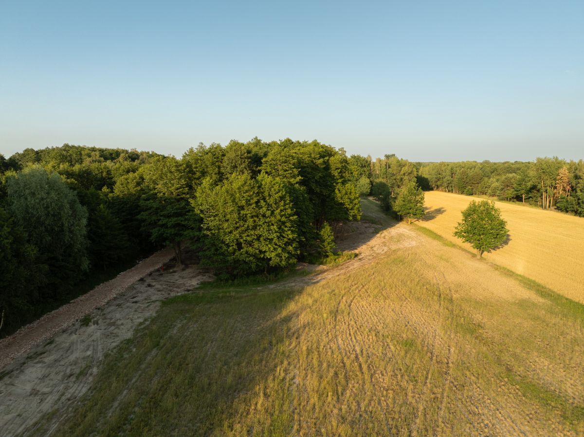 Działka budowlana Zadębie. Zdjęcie 12
