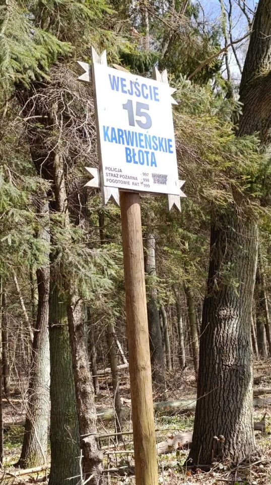 Działka rolna Karwieńskie Błoto Drugie, ul. Wczasowa. Zdjęcie 6