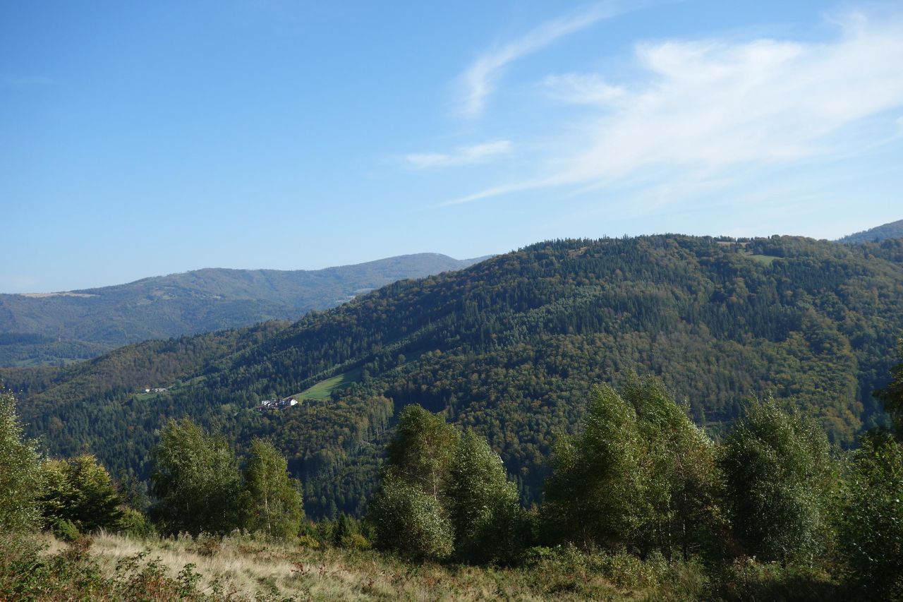 Działka inwestycyjna Ustroń Dobka, ul. Orłowa. Zdjęcie 3