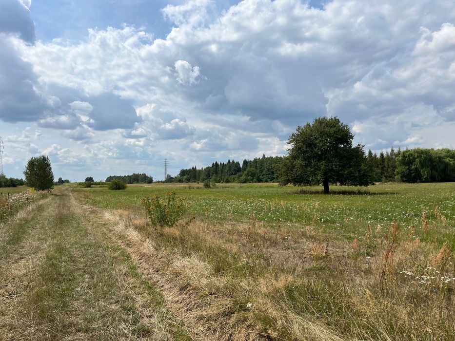 Działka Jedlińsk, ul. Malików. Zdjęcie 3