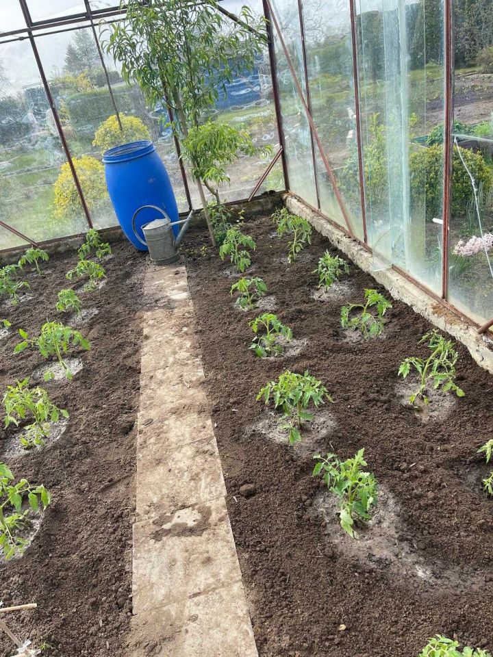 Działka rod Słupsk Centrum, ul. Stefana Banacha. Zdjęcie 6