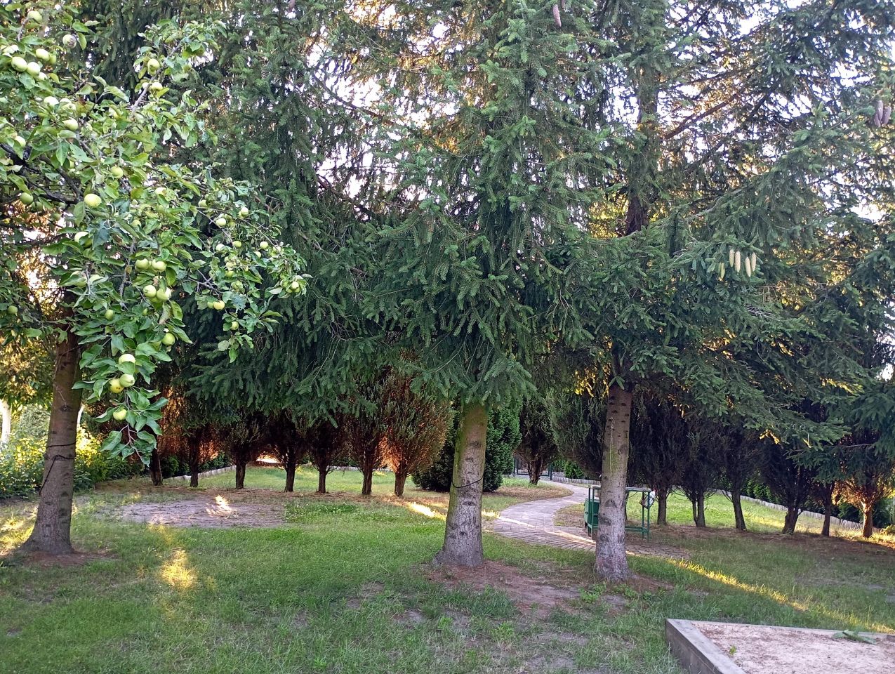 Działka rod Opalenica, ul. Półwiejska. Zdjęcie 5