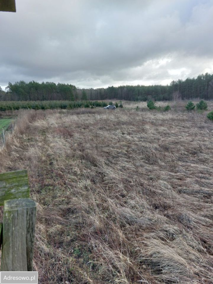 Działka rolno-budowlana Żółwia Błoć. Zdjęcie 11