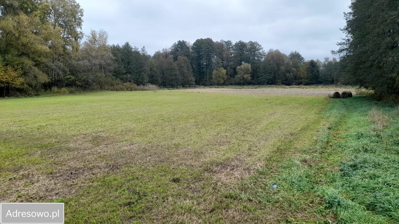 Działka rolna Nowy Secymin. Zdjęcie 9